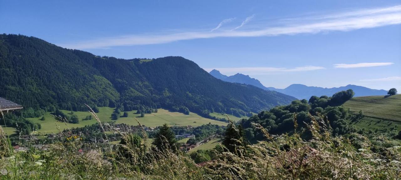 Appartement T2 A Bernex Avec Wifi, Vue Sur Montagne Exterior photo